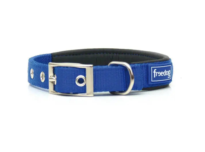 Collar Ergo Azul 15Mmx35Cm FREEDOG