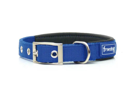 Collar Ergo Azul 20Mmx40Cm FREEDOG