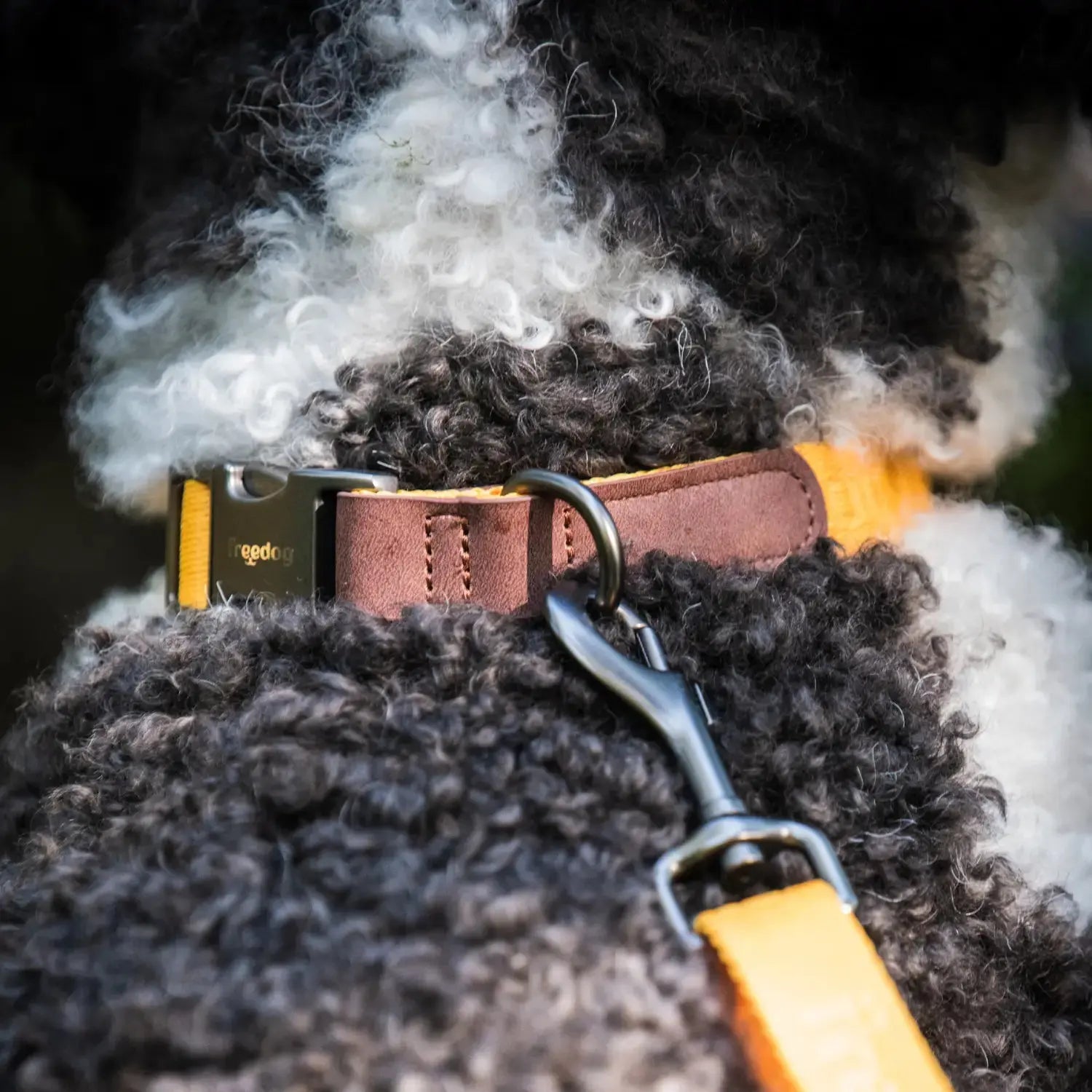 Collar Linum Freedog FREEDOG IMPORT, S. L.