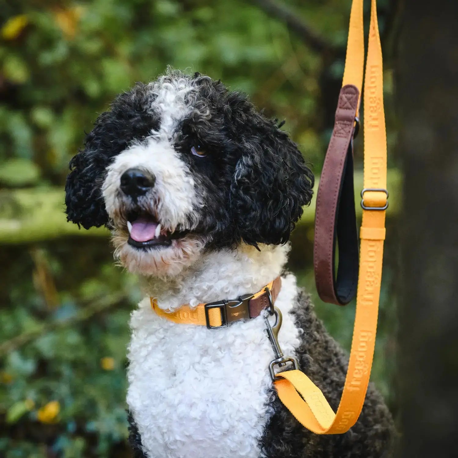 Collar Linum Freedog FREEDOG IMPORT, S. L.