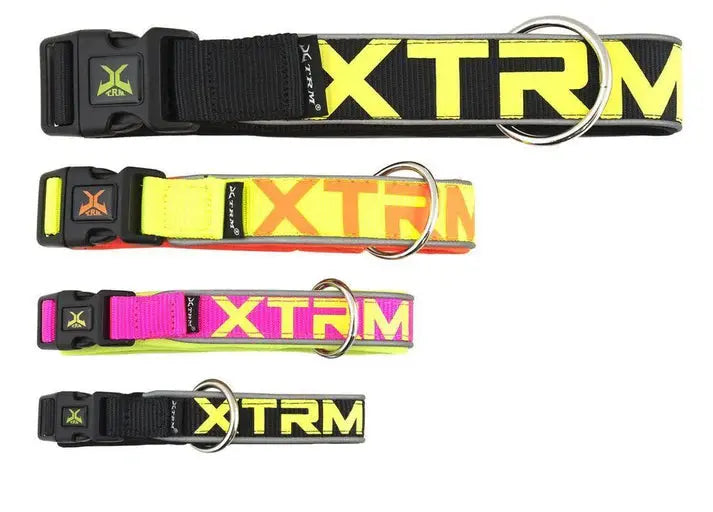 Collar X-Trm Neon Flash Azul 38Mm X 50-70Cm NAYECO