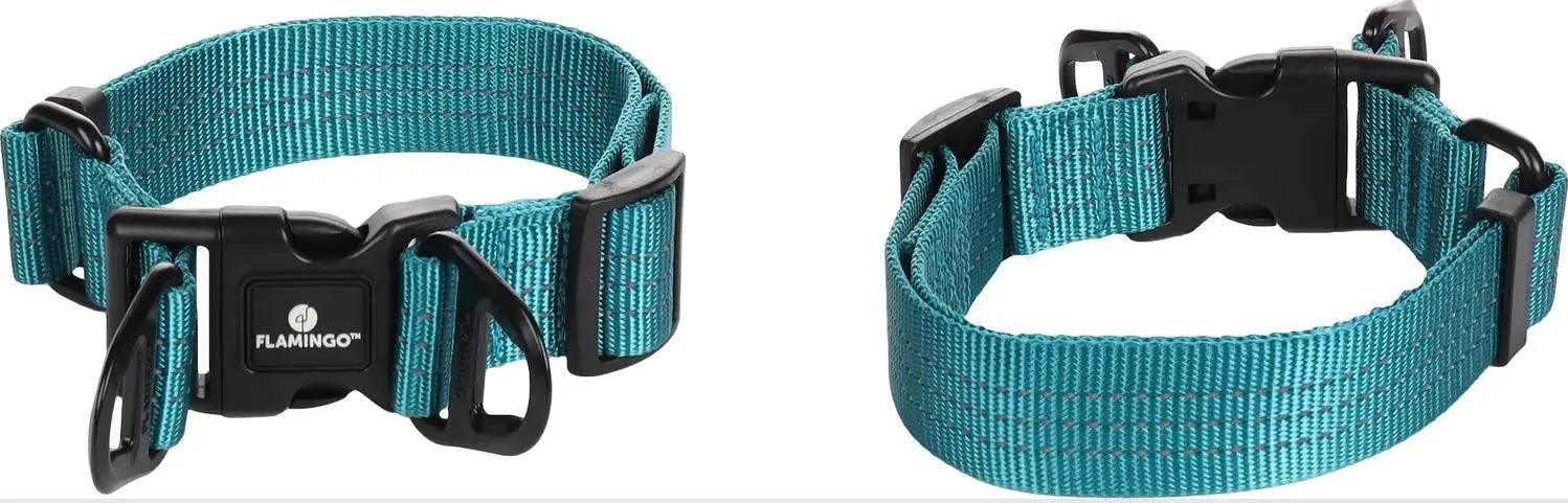 Collar Zorba Turquesa L 45-65Cm 32Mm FLAMINGO PET PRODUCTS NV