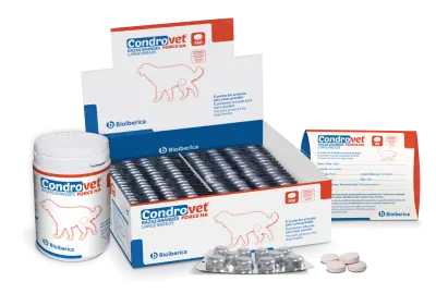 Condrovet Force Ha Perro Razas Grandes 80 comprimidos Condroprotector para Refuerzo de Articulaciones NUZOA SALUD ANIMAL, S.A.U.