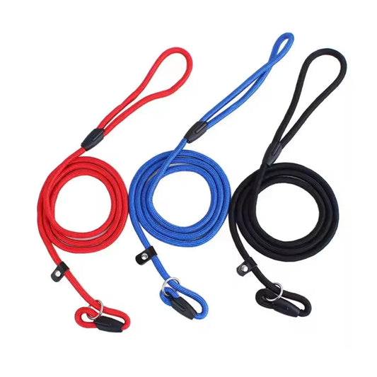 Correa para perros Nylon Round Freedog al mejor precio -Todoanimal.es