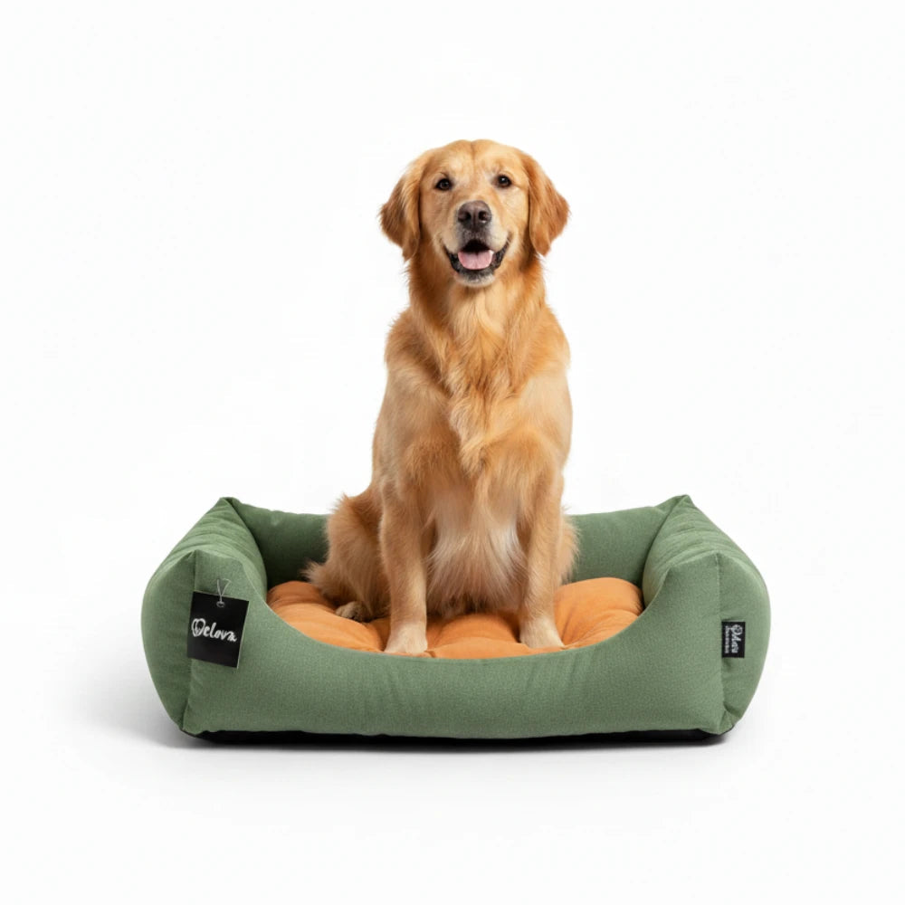 Cuna para Perros Gulliver Welova al mejor precio -Todoanimal.es