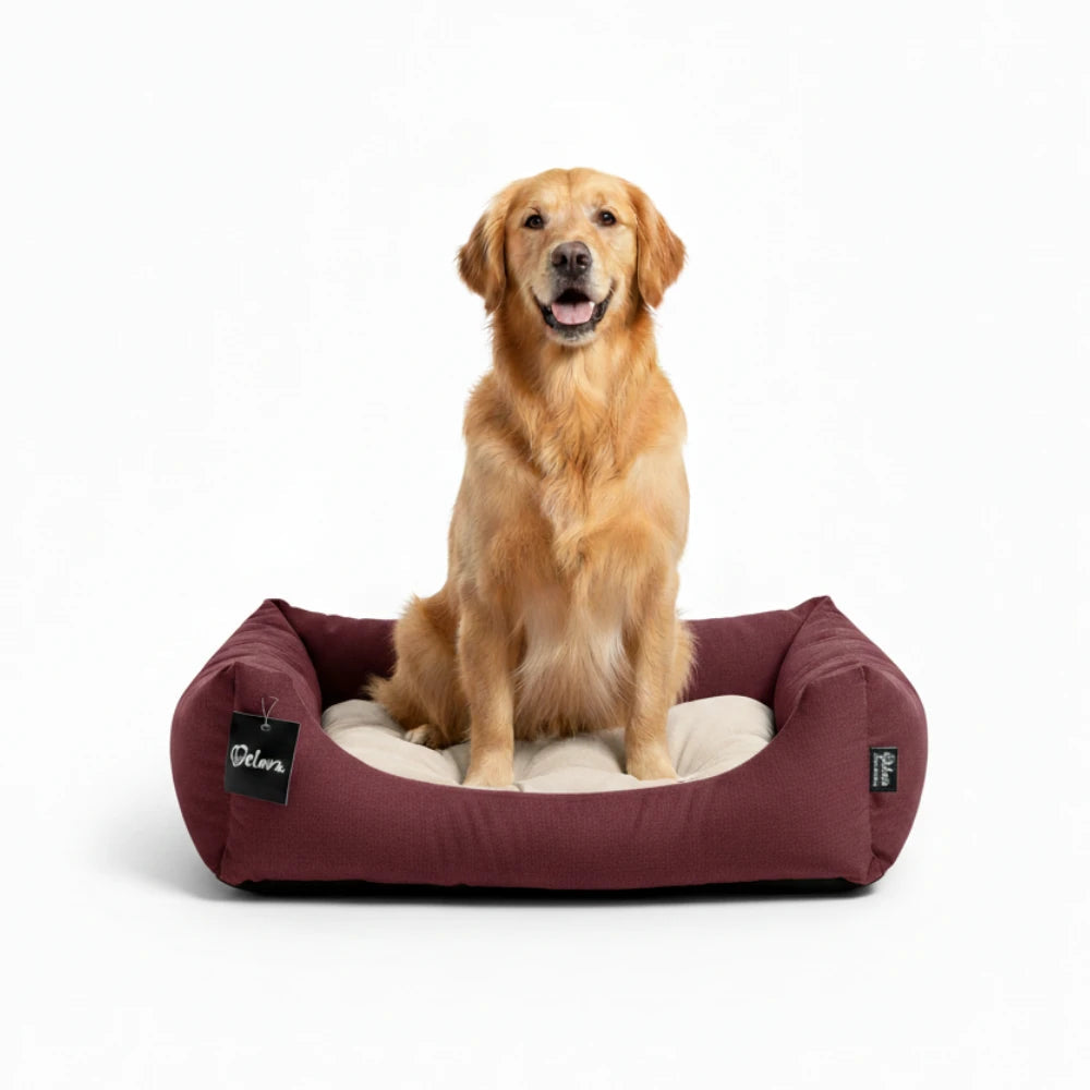 Cuna para Perros Gulliver Welova al mejor precio -Todoanimal.es