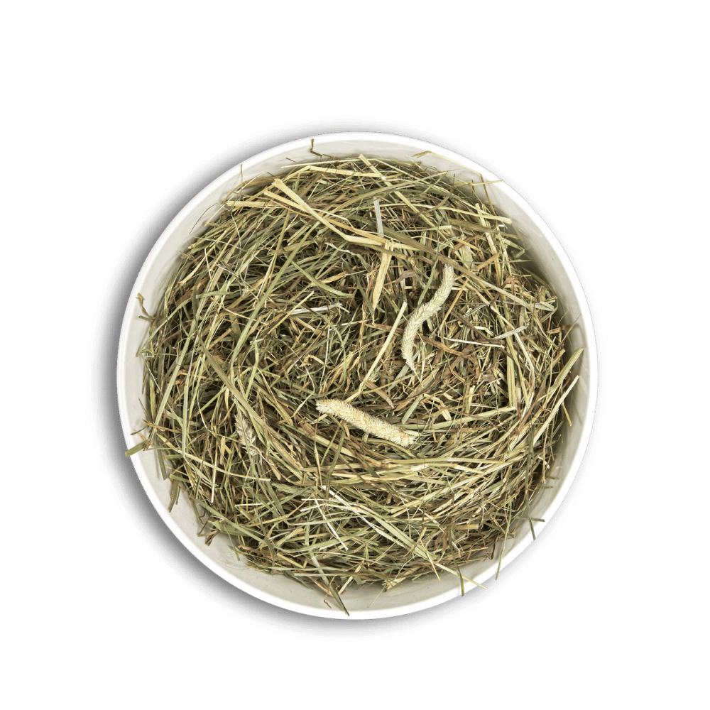 Cunipic Heno Fibra 1 kg al mejor precio -Todoanimal.es