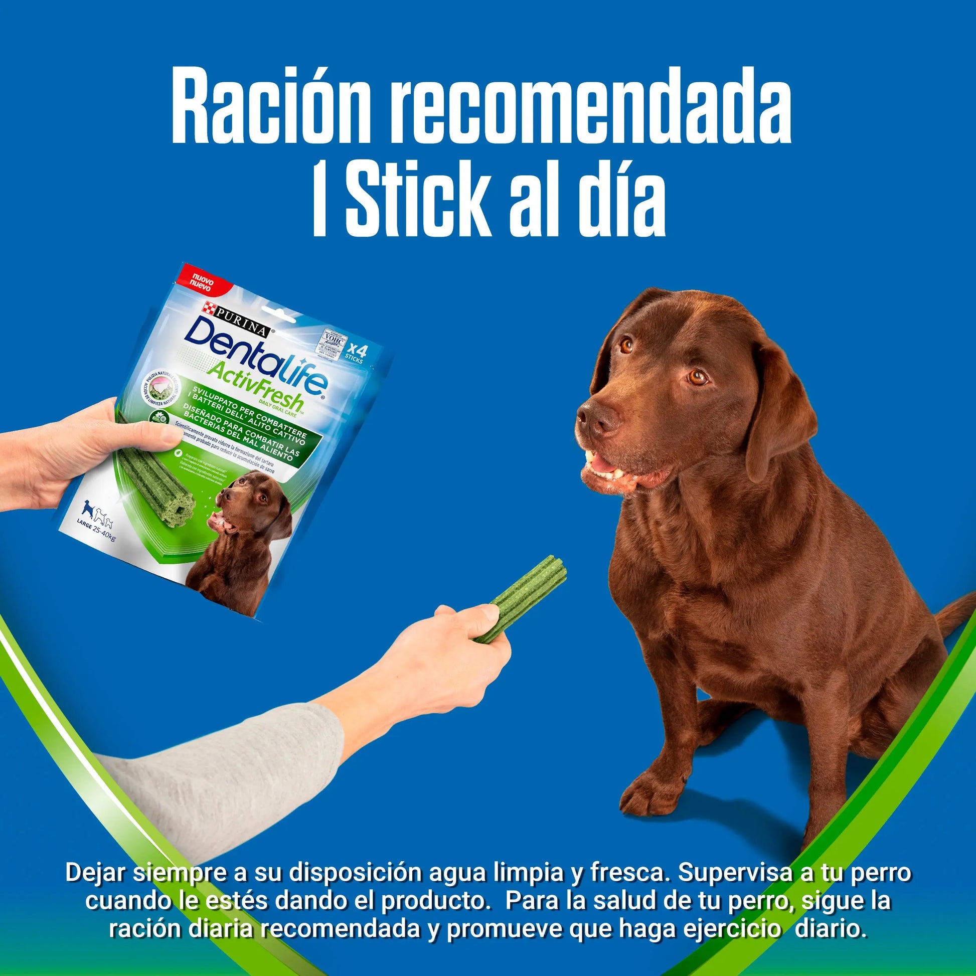Dentalife Activfresh Dog Large 4 Sticks al mejor precio -Todoanimal.es