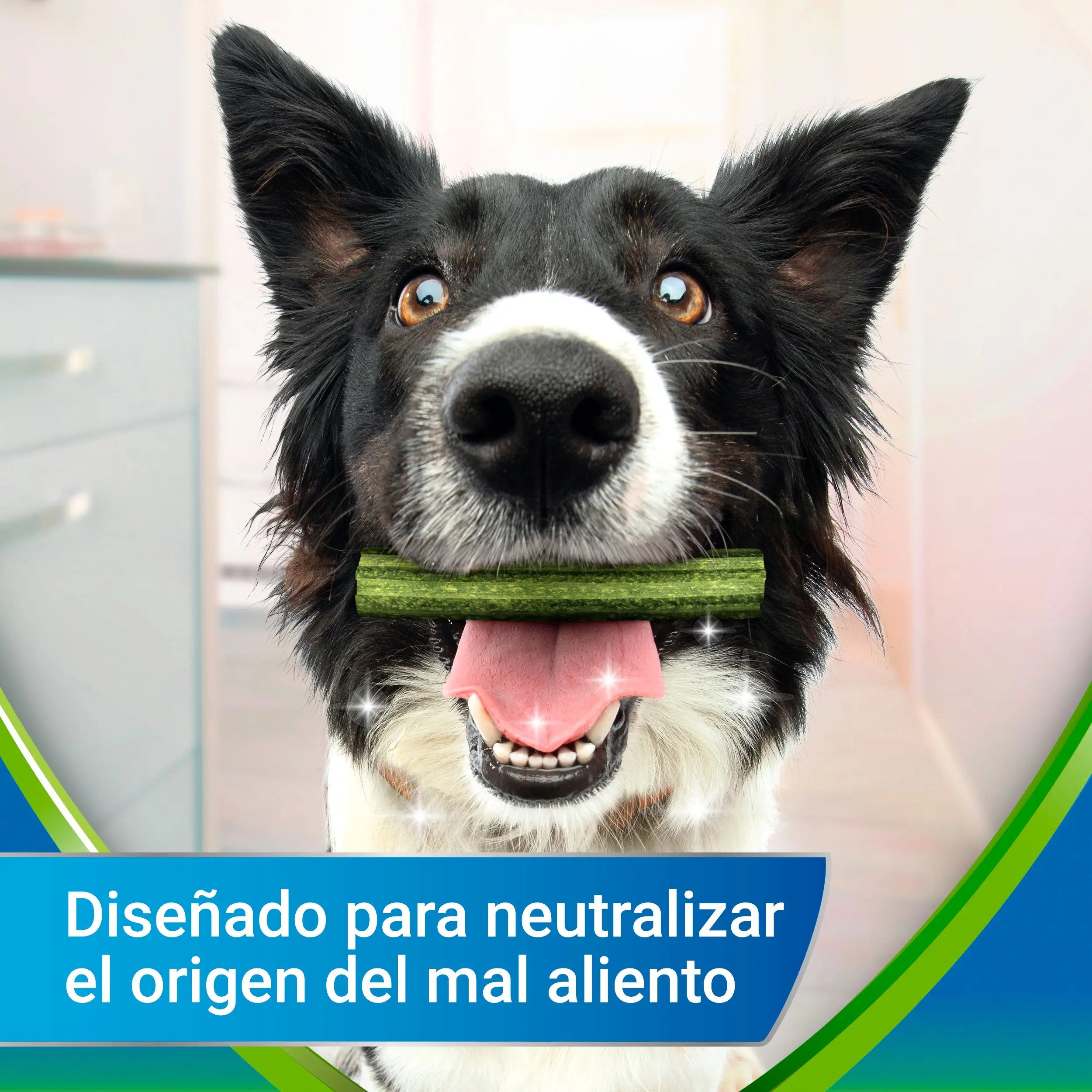 Dentalife Activfresh Dog Medium 5 Sticks al mejor precio -Todoanimal.es