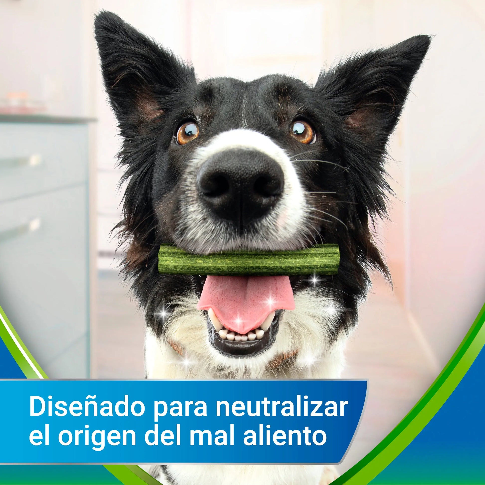 Dentalife Activfresh Dog Medium 5 Sticks al mejor precio -Todoanimal.es