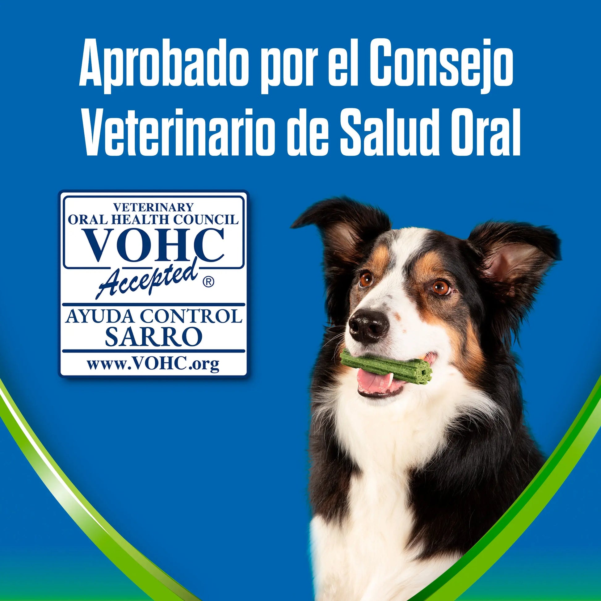 Dentalife Activfresh Dog Small 7 Sticks al mejor precio -Todoanimal.es