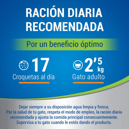 Dentalife Cat Pollo 40 g al mejor precio -Todoanimal.es