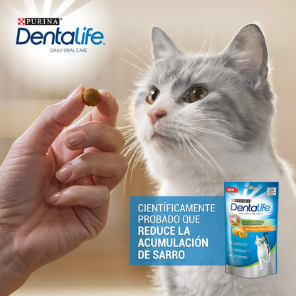 Dentalife Cat Pollo 40 g al mejor precio -Todoanimal.es