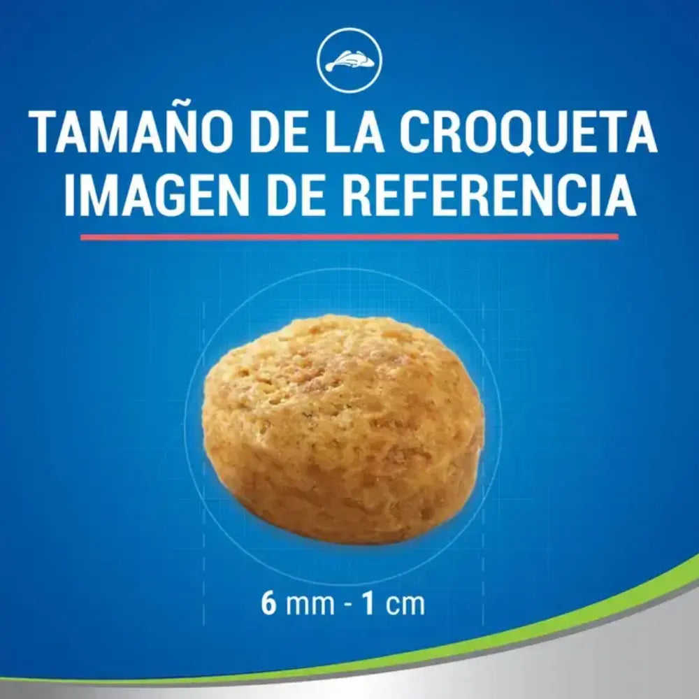 Dentalife Cat Salmón 40 g al mejor precio -Todoanimal.es