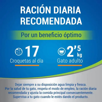 Dentalife Cat Salmón 40 g al mejor precio -Todoanimal.es