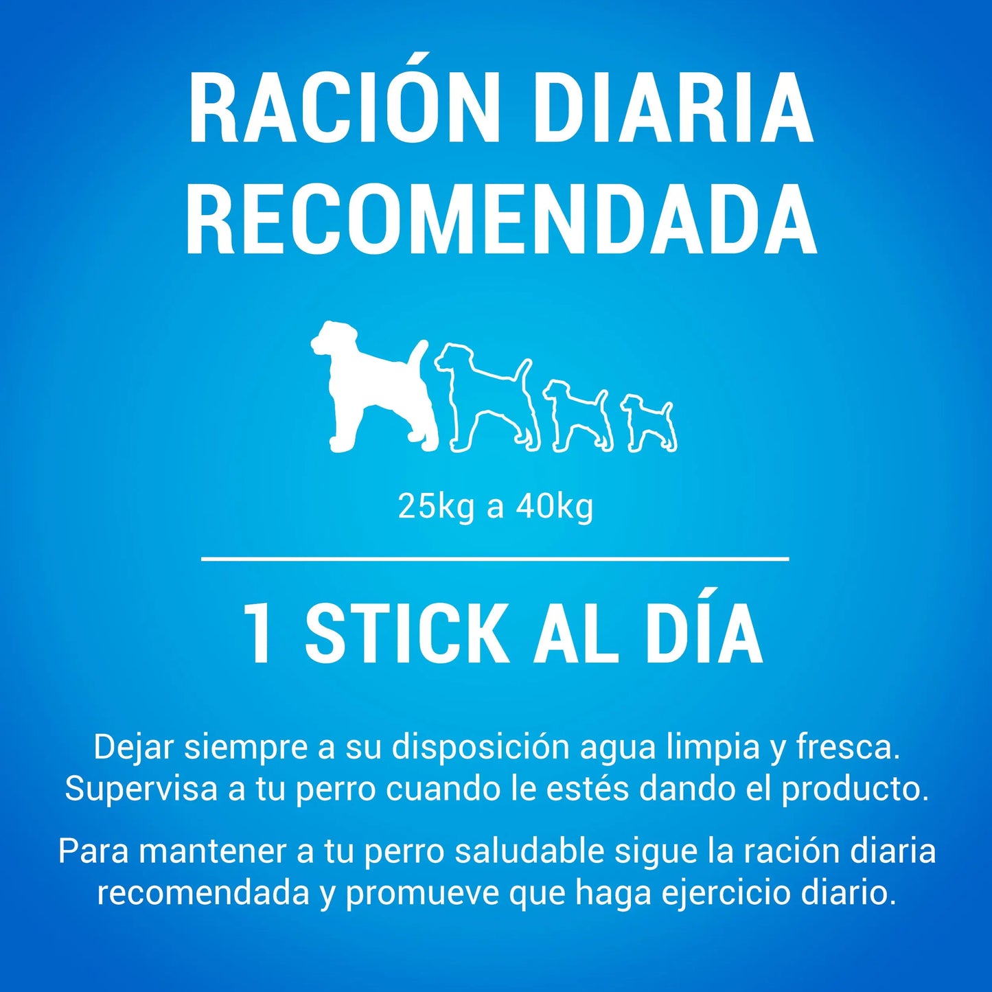 Dentalife Dog Large 4 Sticks al mejor precio -Todoanimal.es