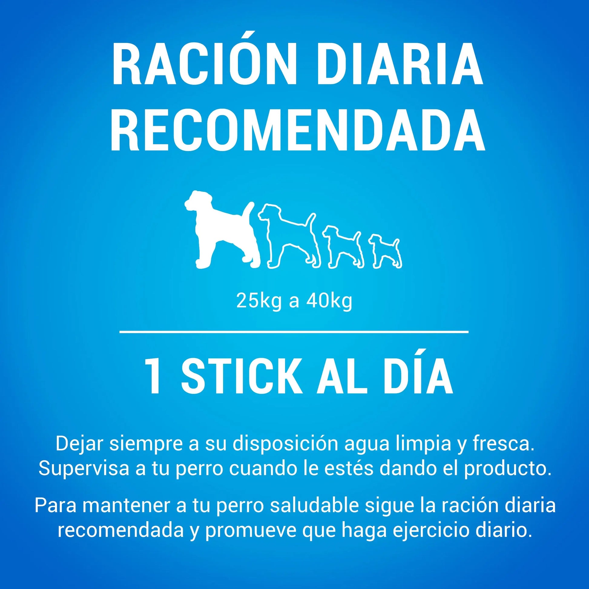 Dentalife Dog Large 4 Sticks al mejor precio -Todoanimal.es