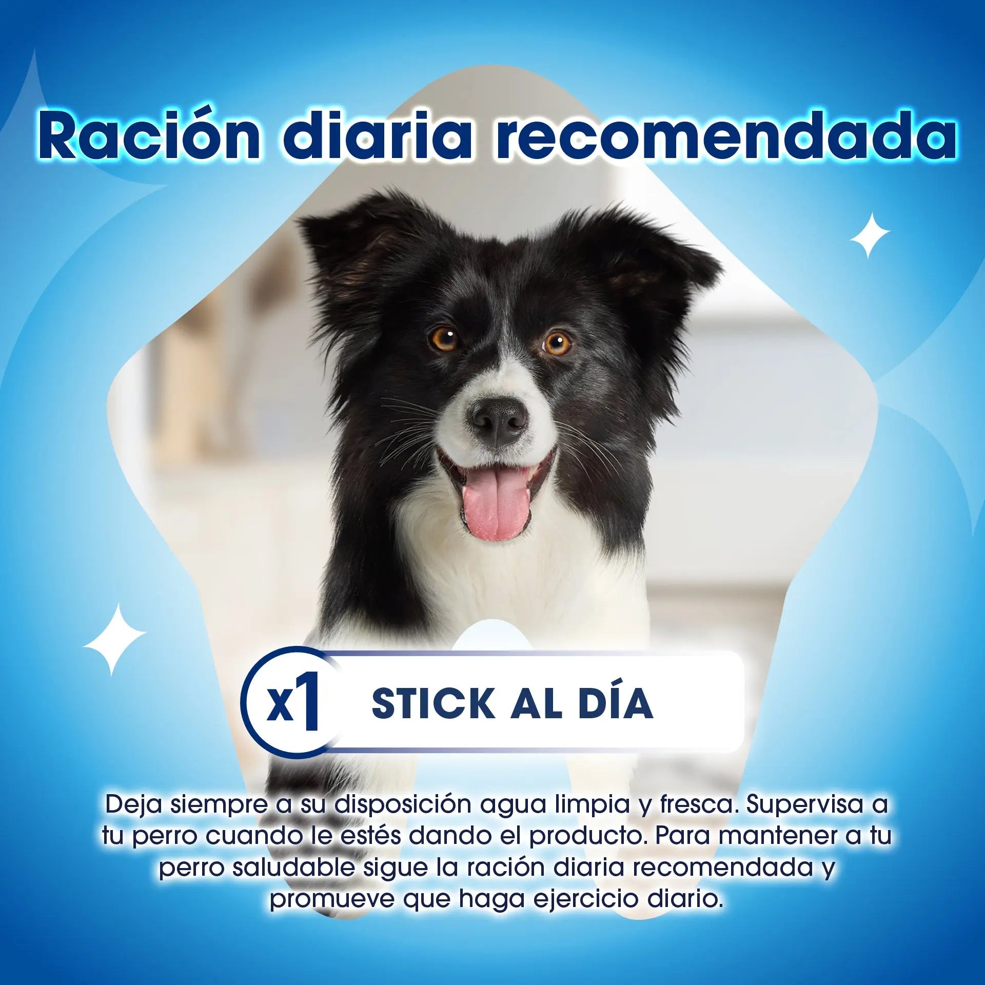 Dentalife Dog Medium 42 Sticks al mejor precio -Todoanimal.es
