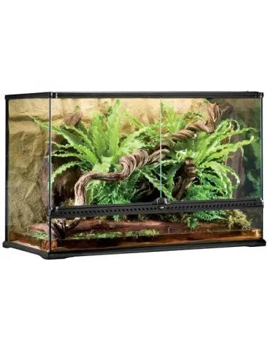 Exo Terra Terrario Gde.243 L Tall 90X45X60 Cm EXOTERRA