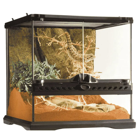 Exo Terra Terrario de Cristal Wide Nano 10,5 L al mejor precio -Todoanimal.es