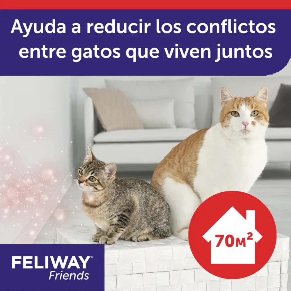 Feliway Friends Difusor+Recambio 48 ml al mejor precio -Todoanimal.es