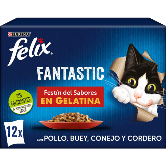 Felix Fantastic Carnes Gelatina Pack 12X85 g al mejor precio -Todoanimal.es