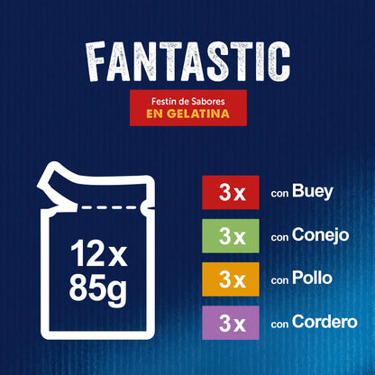 Felix Fantastic Carnes Gelatina Pack 12X85 g al mejor precio -Todoanimal.es