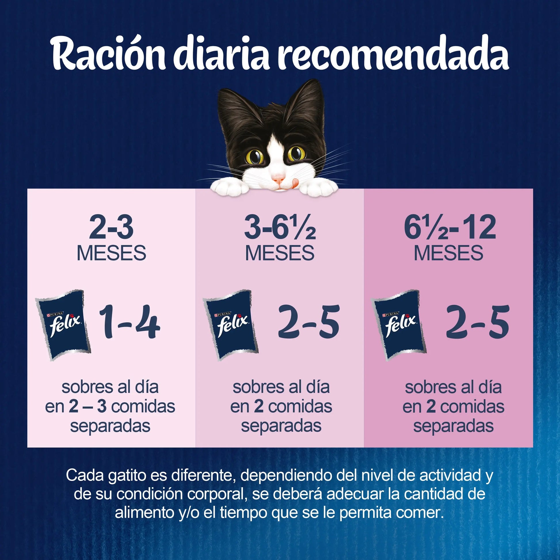 Felix Fantastic Junior Pack 4x85 g al mejor precio -Todoanimal.es