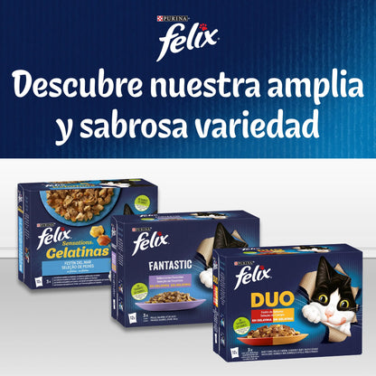 Felix Fantastic Selección Gelatina Pescados Pack 120x85 g al mejor precio -Todoanimal.es