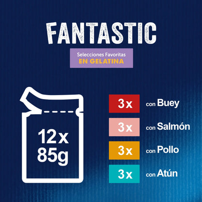 Felix Fantastic Surtido Gelatina Pack 12X85 g al mejor precio -Todoanimal.es