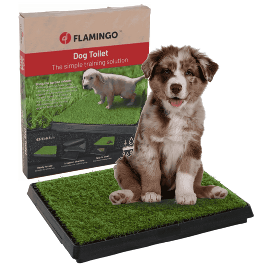 Flamingo Bandeja Arenero de Hierba Pelou para Perros con Soporte Incluido 63x51x6,3cm al mejor precio -Todoanimal.es