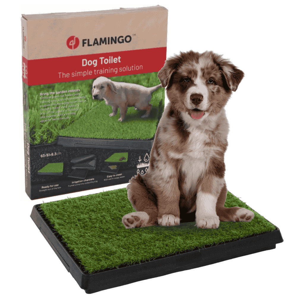 Flamingo Bandeja Arenero de Hierba Pelou para Perros con Soporte Incluido 63x51x6,3cm al mejor precio -Todoanimal.es