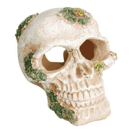 Flamingo Calavera Cráneo Beige Decoración para Acuarios al mejor precio -Todoanimal.es