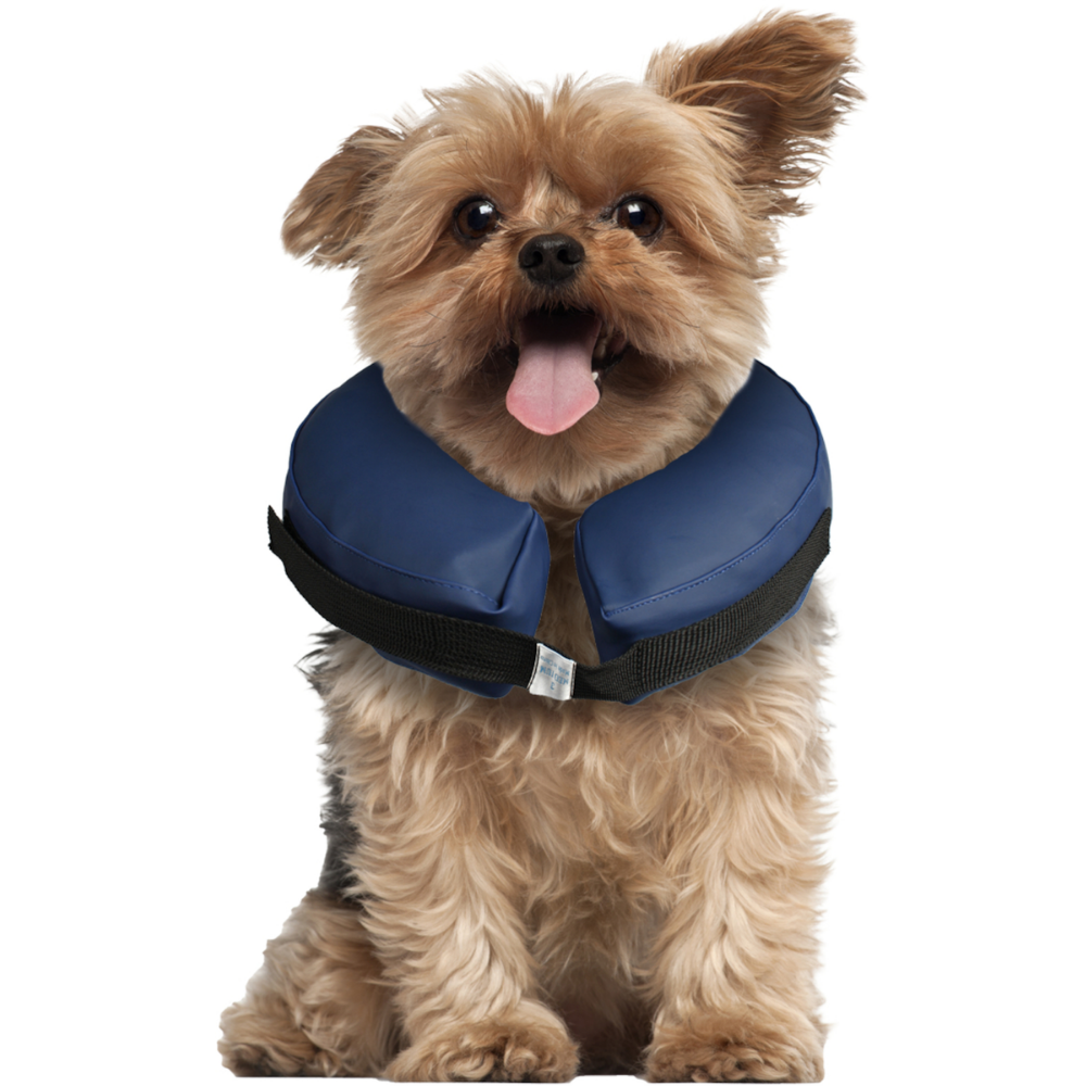 Flamingo Collar Inflable Perro al mejor precio -Todoanimal.es