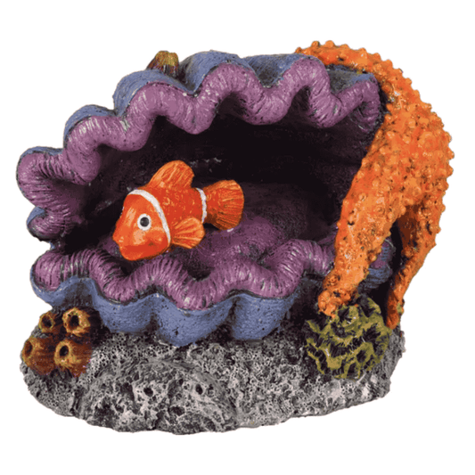 Flamingo Leto Pez en Concha Decoración para Acuarios al mejor precio -Todoanimal.es