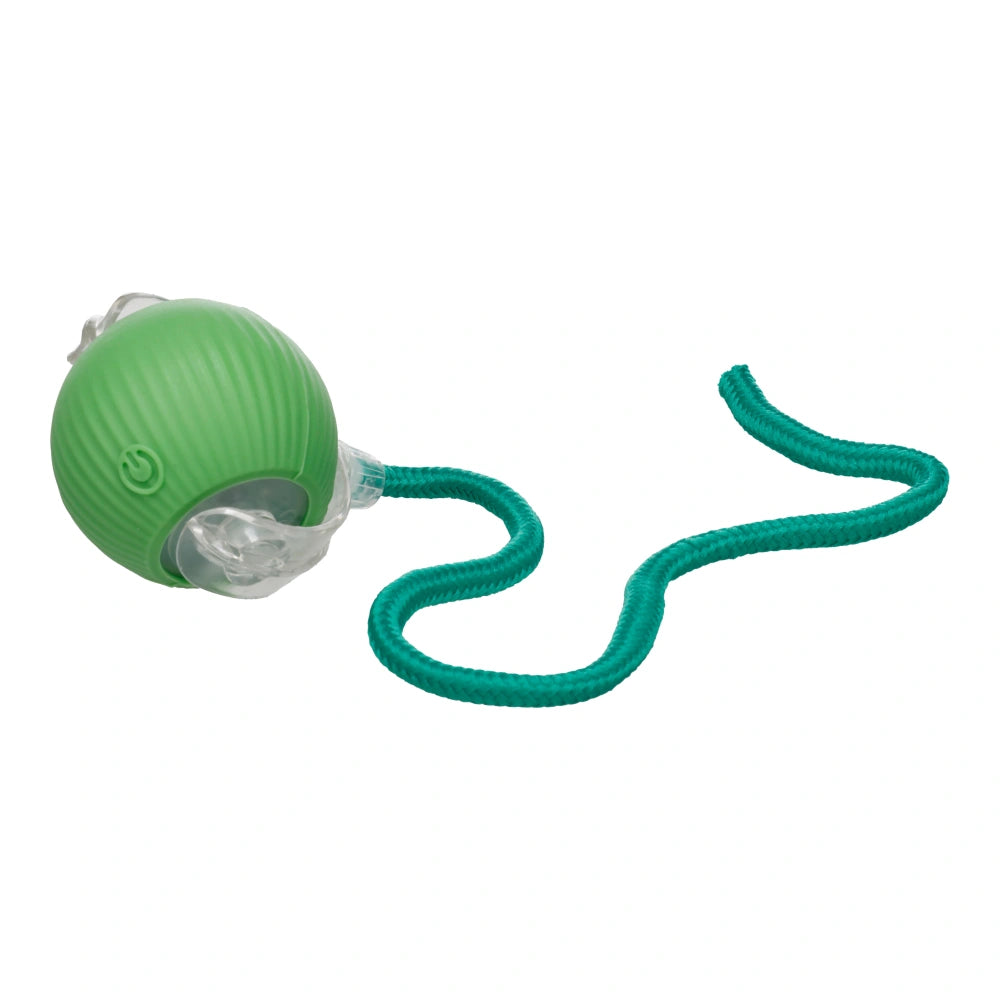 Flamingo Sili Juguete Electrónico Pelota con Cuerda Verde para Gatos al mejor precio -Todoanimal.es