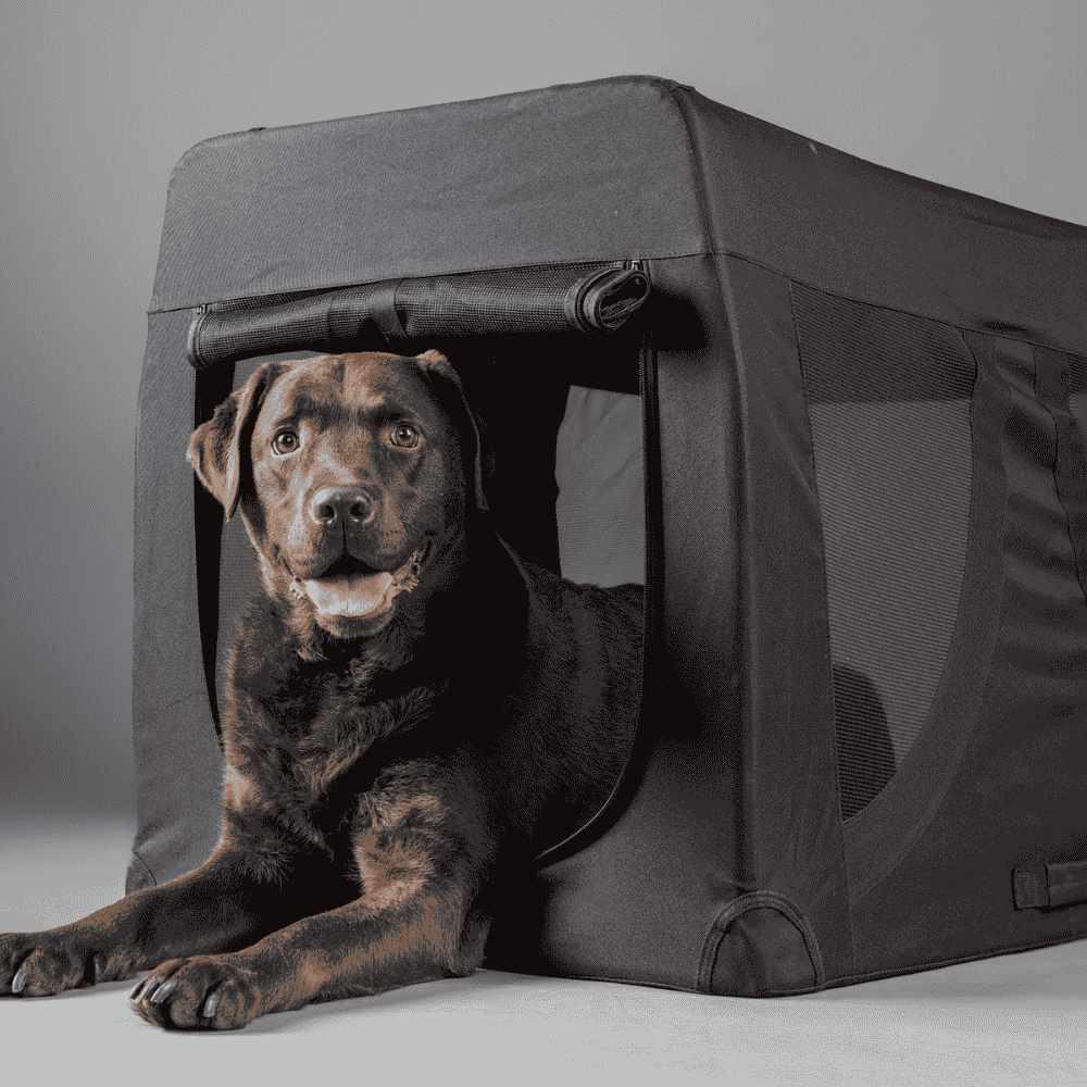 Flamingo Transportín Plegable Gepetto Negro para Mascotas al mejor precio -Todoanimal.es