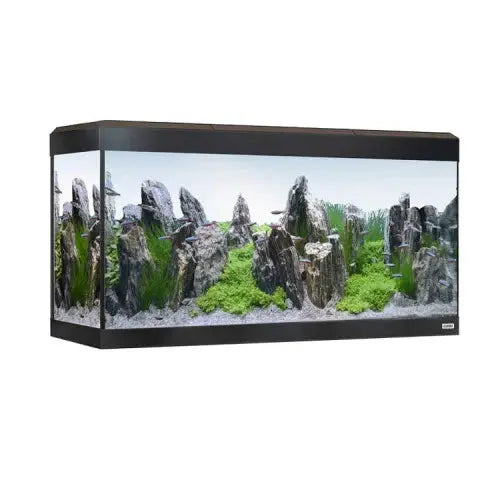 Fluval Roma Acuario 200 L Led Bluetooth al mejor precio -Todoanimal.es