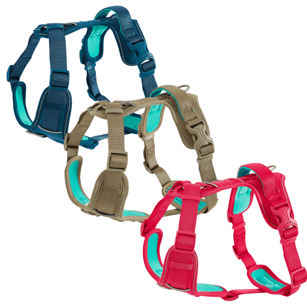 Freedog Arnés Limitless para Perros al mejor precio -Todoanimal.es