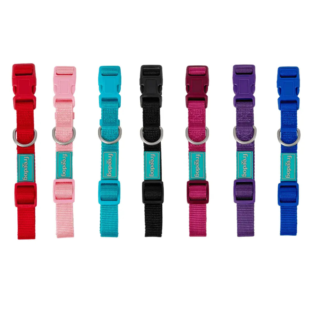Freedog Collar Nylon Basic para Perros al mejor precio -Todoanimal.es
