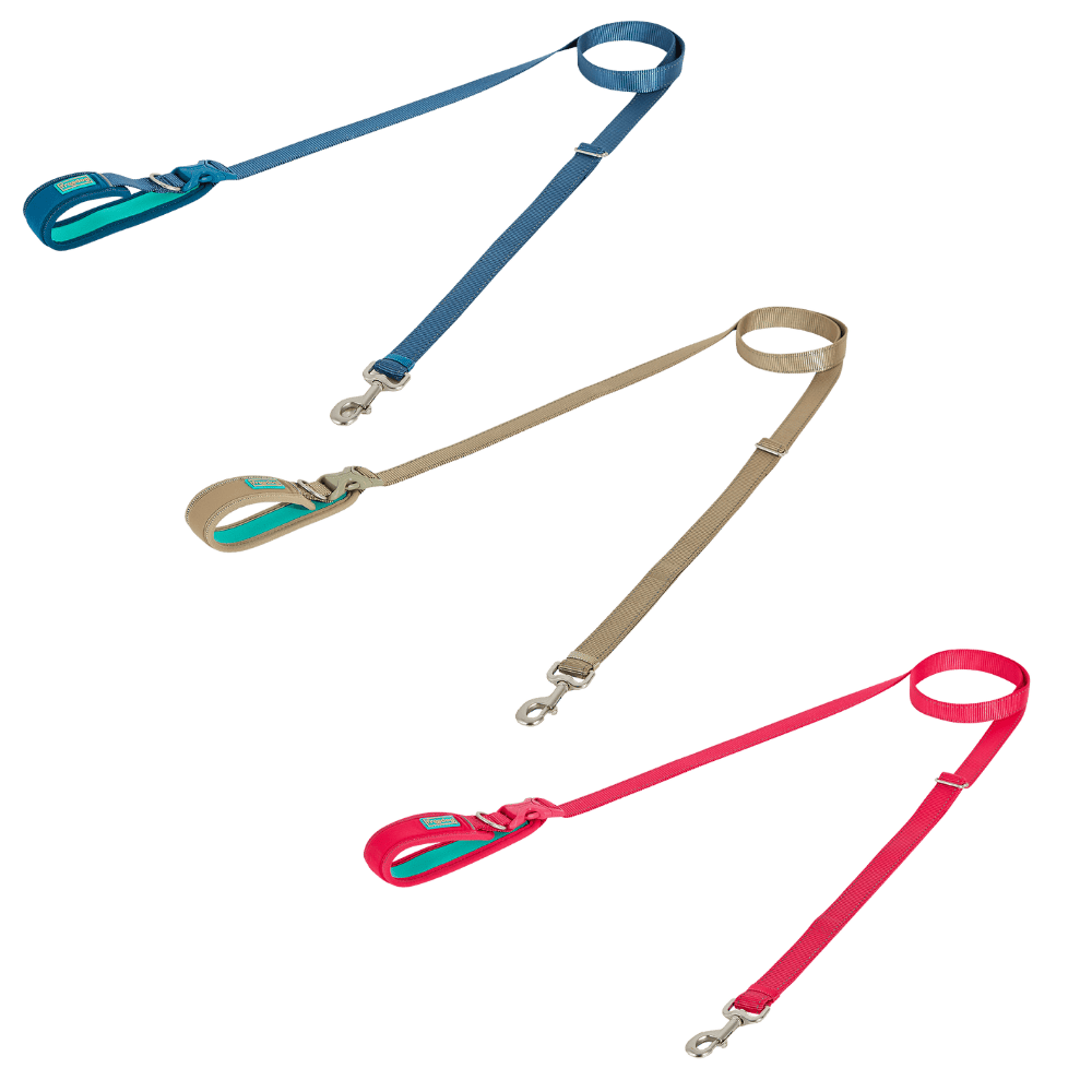 Freedog Correa Limitless para Perros al mejor precio -Todoanimal.es