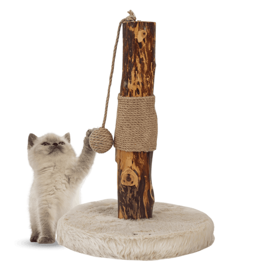 Freedog Rascador ZenPear Pole 30x30x43cm con Tronco Natural para Gatos al mejor precio -Todoanimal.es