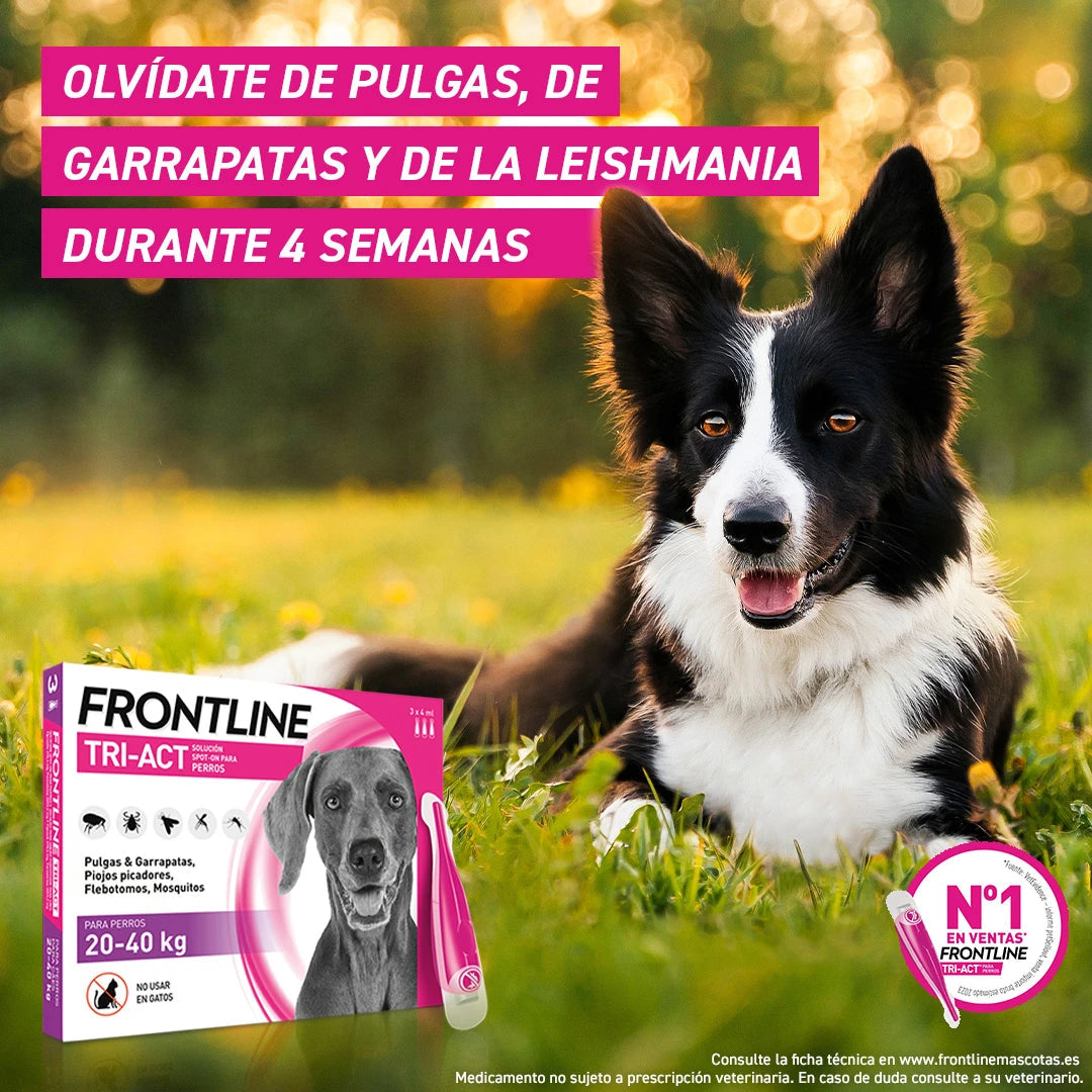 Frontline Tri-Act Pack 3 Pipetas Antiparasitarias para Perros al mejor precio -Todoanimal.es