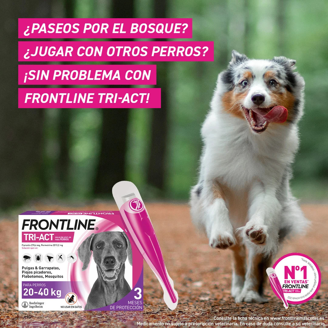 Frontline Tri-Act Pack 3 Pipetas Antiparasitarias para Perros al mejor precio -Todoanimal.es