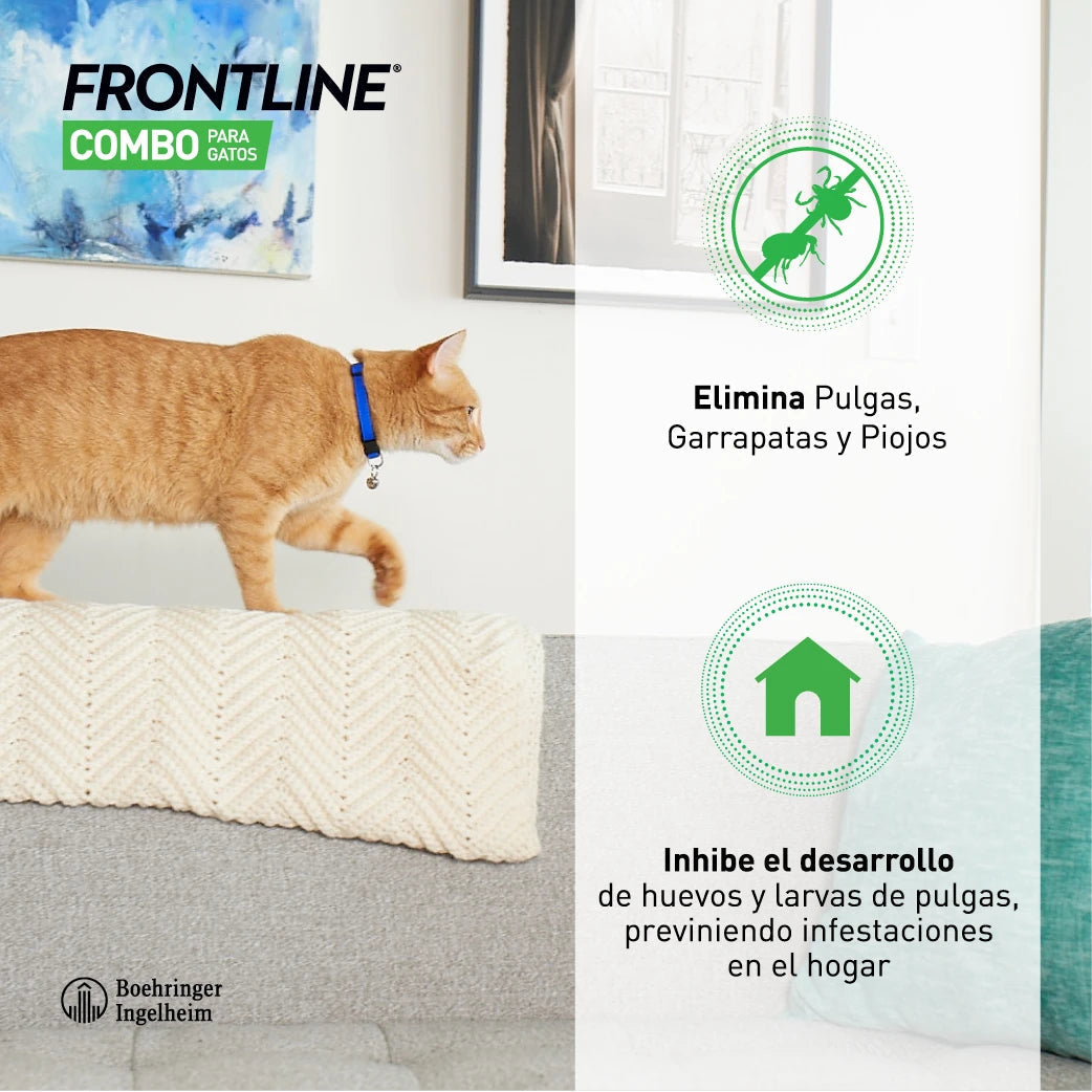 Frontline® Combo Antiparasitario Spot On para Gatos 3 Pipetas al mejor precio -Todoanimal.es