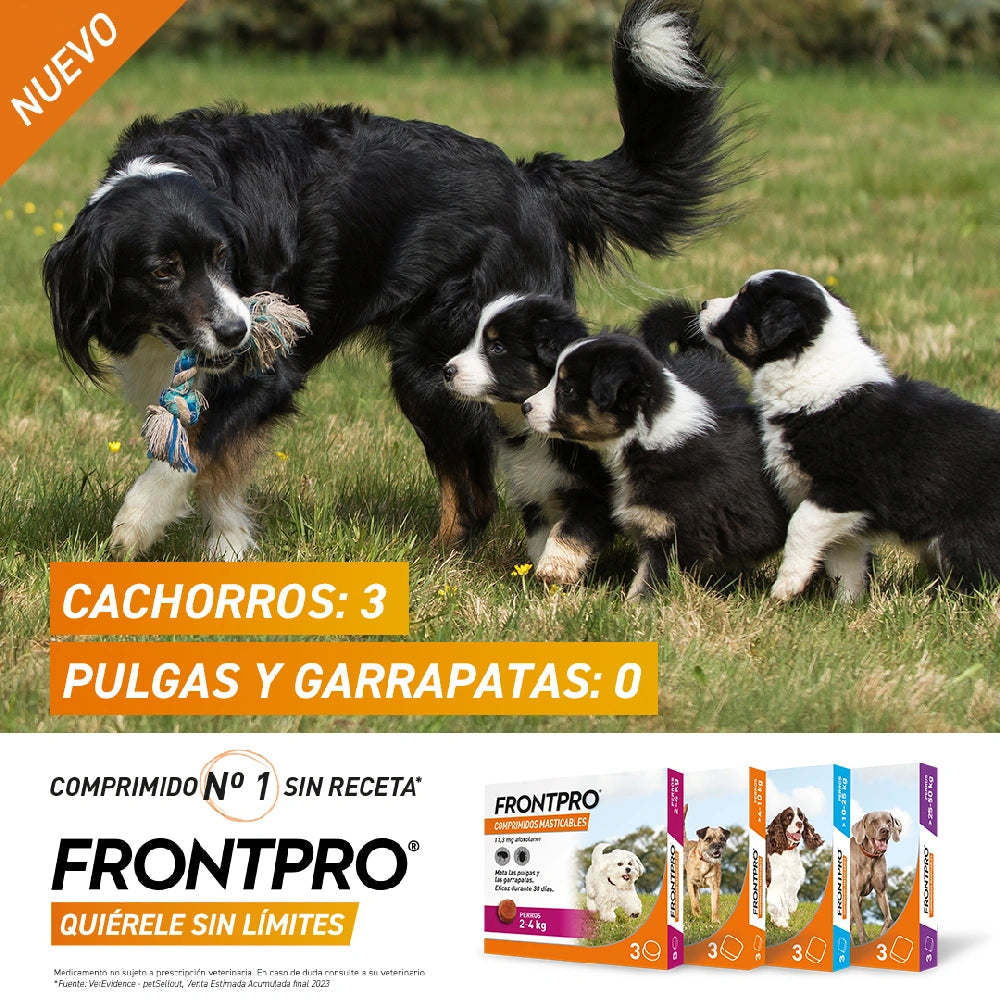 Frontpro Comprimidos Masticables Antiparasitarios para Perros 3 uds. al mejor precio -Todoanimal.es