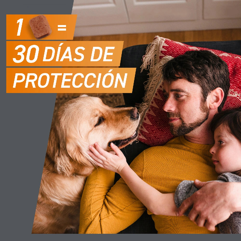 Frontpro Comprimidos Masticables Antiparasitarios para Perros 3 uds. al mejor precio -Todoanimal.es