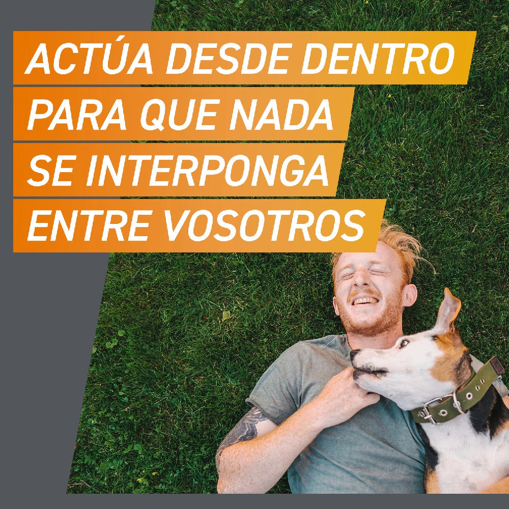 Frontpro Comprimidos Masticables Antiparasitarios para Perros 3 uds. al mejor precio -Todoanimal.es