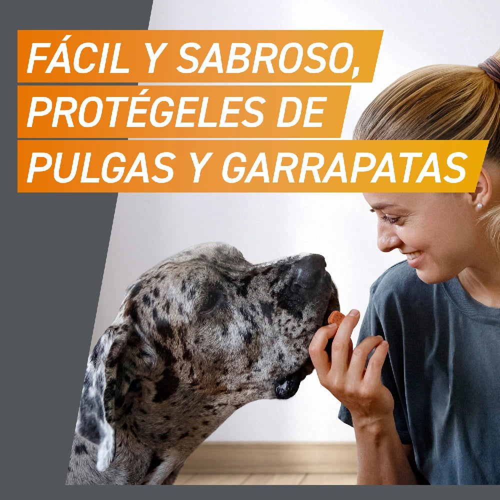 Frontpro Comprimidos Masticables Antiparasitarios para Perros 3 uds. al mejor precio -Todoanimal.es