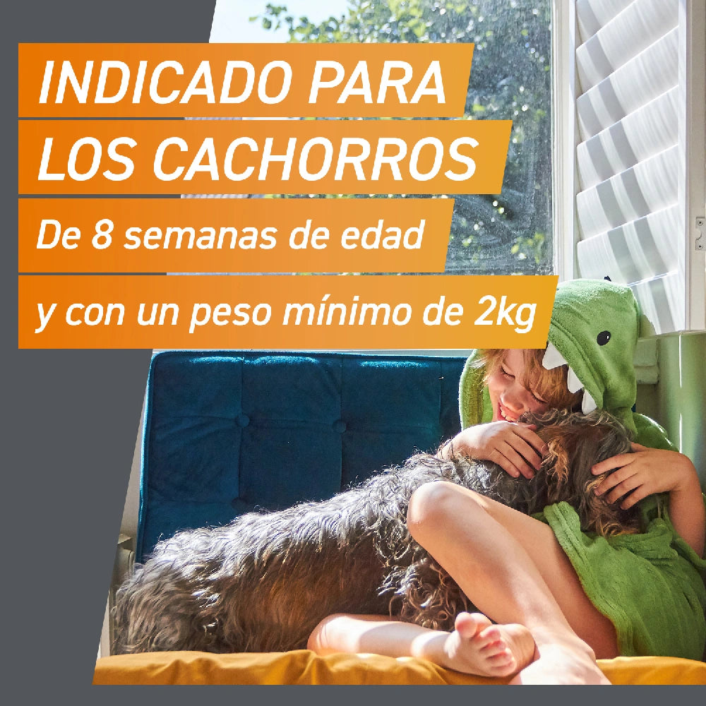 Frontpro Comprimidos Masticables Antiparasitarios para Perros 3 uds. al mejor precio -Todoanimal.es